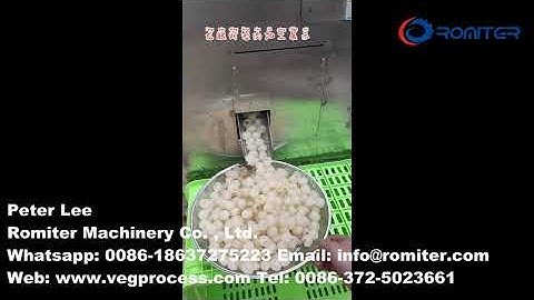 Automatic Longan Peeling and Core Removing Machine
