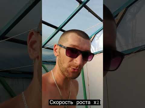 Сумасшедшая скорость роста растений на гидропонике