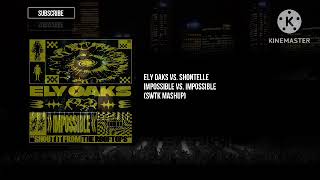 Ely Oaks vs. Shontelle - Impossible vs. Impossible (SWTK Mashup)