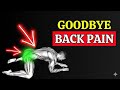 Over 60? Try These 3 Easy Exercises for Lower Back Pain #seniorexercise #seniorfitness 