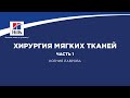 Вебинар на тему: “Хирургия мягких тканей”. Часть 1. Лектор - Ксения Лаврова.