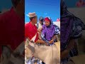KUPANDA PUNDA KUPANDA PUNDA