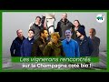 Les vignerons rencontrs en champagne