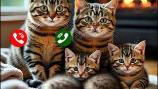 Ringtone 😿notification😻 2025  Happy family Calling Devanshith #mi #ringintone #shorts 