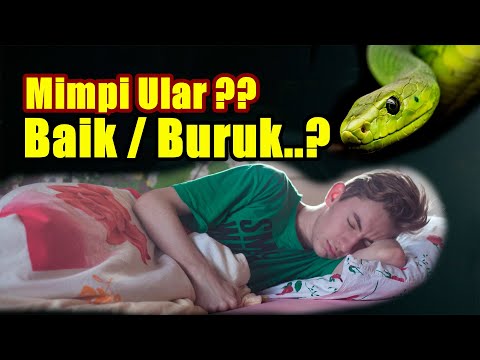 Video: Adakah aktivisme baik atau buruk?