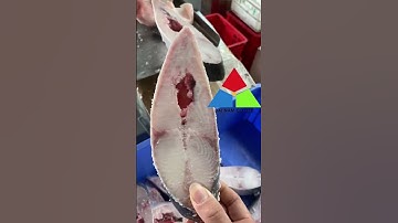 Quy trình cắt cá thu đông lạnh bằng máy cưa xương J210 Đại Nam