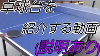 卓球台を買おうとする君へ【説明あり】