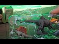 I found the video, enjoy!