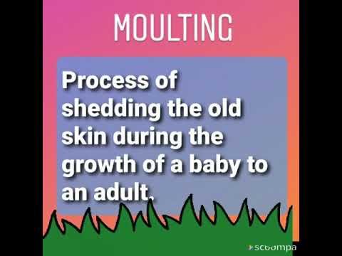 21 07 2020 K4 Science Chapter 03 Video 13 - YouTube