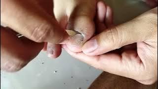 cara memotong kuku sampai ke pojok | bebas cantengan lagi 😁