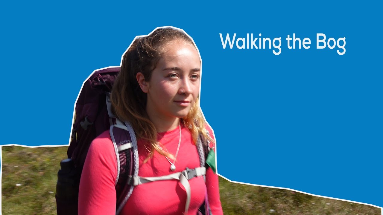 WALKING THE BOG