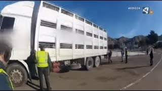 Control del transporte de animales