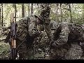 45 ОБрСпН ВДВ