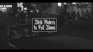 Bleib Modern - In Full Bloom (remastered)