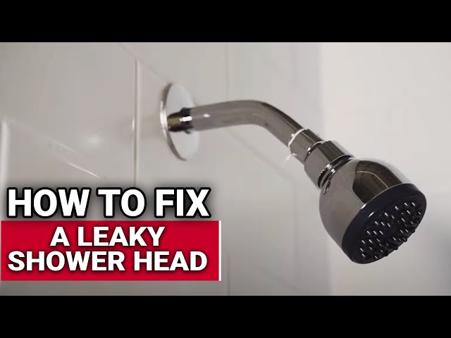 Easy-Fix Shower Filter - T-safe