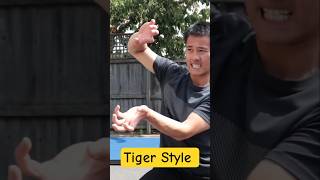 Tiger Style #kungfu #martialarts #shaolin