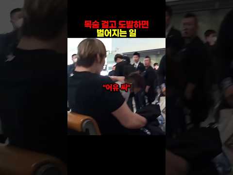 최홍만을 도발하면 벌어지는 일 thumbnail