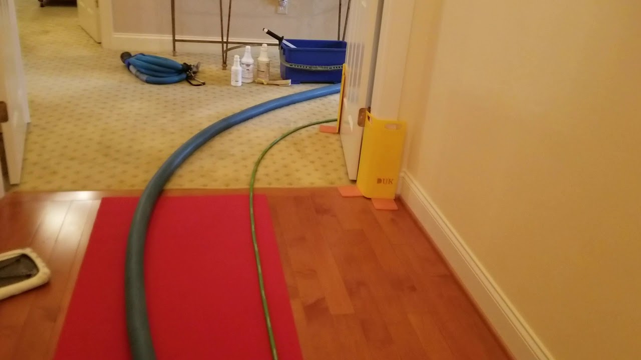 Wool Carpet and Rug Cleaning in Fulton Maryland YouTube