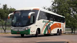 Andorinha 6274 - Executivo (Super Soft) screenshot 2