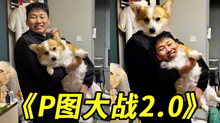 P图大战2.0！5202年看到什么都不稀奇，柯基都成精了！两眼一黑又一黑！#整蛊 #搞笑 #峻宁峻宁