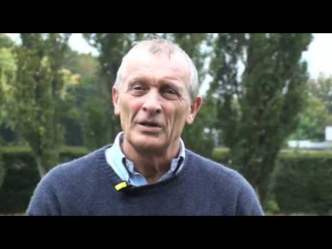 how-to-be-a-remarkable-dog-trainer-with-sharon-bolt-from-good-dogs!
