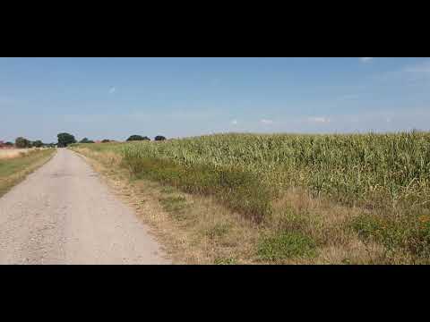 (#21). 🇩🇪GERMANY: Fields