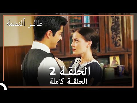 طائر النمنمة الحلقة 