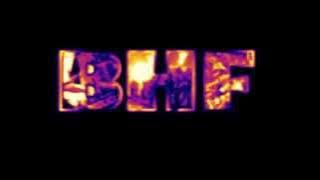 JER JA SAM FANATICOS ( Širi ponos grada svog ) .BHFANATICOS