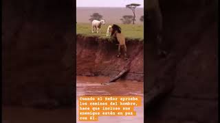 PROVERBIOS 16:7 Cuando el Señor aprueba los caminos del hombre,  sus enemigos estén en paz con él.