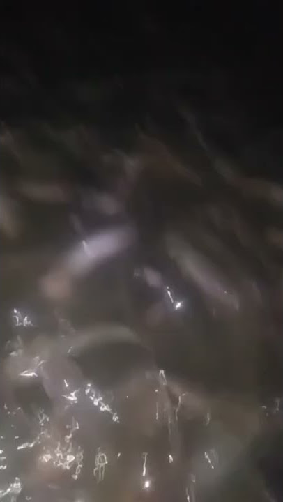 lagi viral vidio ada belatung di meki si permpuan anjir