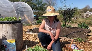 VIRTUAL FARM FIELD TRIP: Seeds! An Introduction