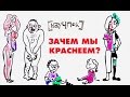 Зачем мы краснеем? -  Научпок