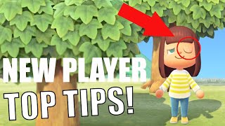 Top NEW PLAYER Tips! | Animal Crossing New Horizons
#animalcrossingnewplayertips #acnhnewplayertips
Hey Guys! I hope youve all had a great festive period! Im so exited to be back and in the swing of creating content! Today i thought it would be a great idea to recap on some tips for anyone who is brand new to the game! For you guys who are more seasonal players id love you to drop any tips youve got in the comments below! :)
Dont forget to subscribe for DAILY Animal Crossing New Horizon Content!
https://www.youtube.com/channel/UCFcfGSlzubpHYia9Z4nAJJQ?sub_confirmation=1
More Animal Crossing New Horizon Videos Here: https://www.youtube.com/playlist?list=PLSTvNlGsSnKB8_wb_AIh-ufEeOjHQomn3
Lets Connect!
www.twitter.com/crankin_
www.instagram.com/pokecrossing_
www.instagram.com/rankin21
Tags: Animal Crossing New Horizons, Animal Crossing, Animal Crossing Funny Moments, Animal Crossing Island inspo, Animal Crossing Design, Animal Crossing Terraforming, Animal Crossing Speed Build, Animal Crossing News, Animal Crossing Top Tips, Animal Crossing Orchard, ACNH, ACNH community, ACNH Funny moments, Animal Crossing Data mine, Poke crossing Top NEW PLAYER Tips! | Animal Crossing New Horizons