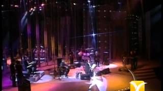 Mercedes Sosa, Entre a Mi Pago Sin Golpear, Festival de Viña 1993