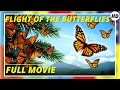 Flight of the Butterflies | Documentary | HD | Full movie in English