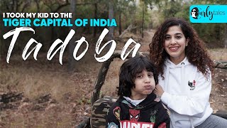 I Took My Kid To The Tiger Capital Of India: Tadoba National Park | Curly Tales