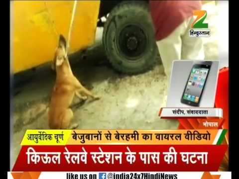Video goes viral of Bhopal Municipal corporation officials beating dogs brutally