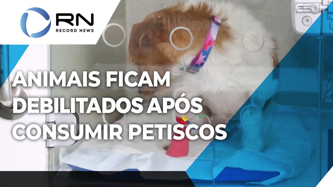 Animais ficam debilitados após consumir petiscos