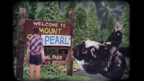 Mount St. Pearl Stop Motion Video