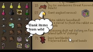Best place to hunt Imps (Osrs) Bank items from rev caves!