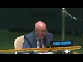 Выступление В.А.Небензи на пленарном заседании ГА ООН по работе Совета Безопасности