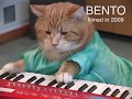 THEE 3 Keyboard Cat Premieres.  The power of practice, reincarnation and love!