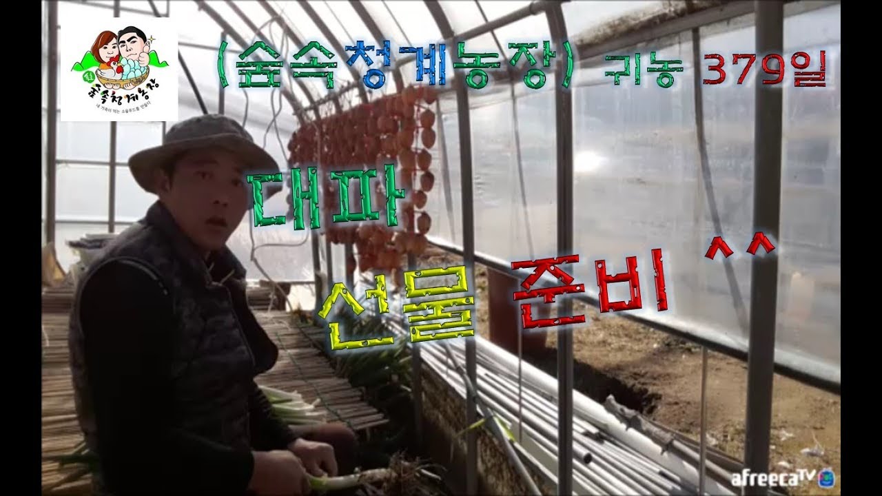 (숲속청계농장) 귀농 379일 -선물 준비하기 - YouTube