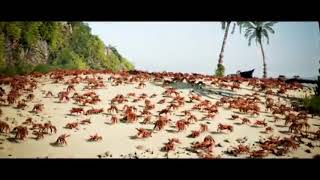 Just a normal crab rave nothing to see here