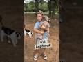 Kid approved puppies! #puppiesofyoutube #weimaraner #kidfriendly