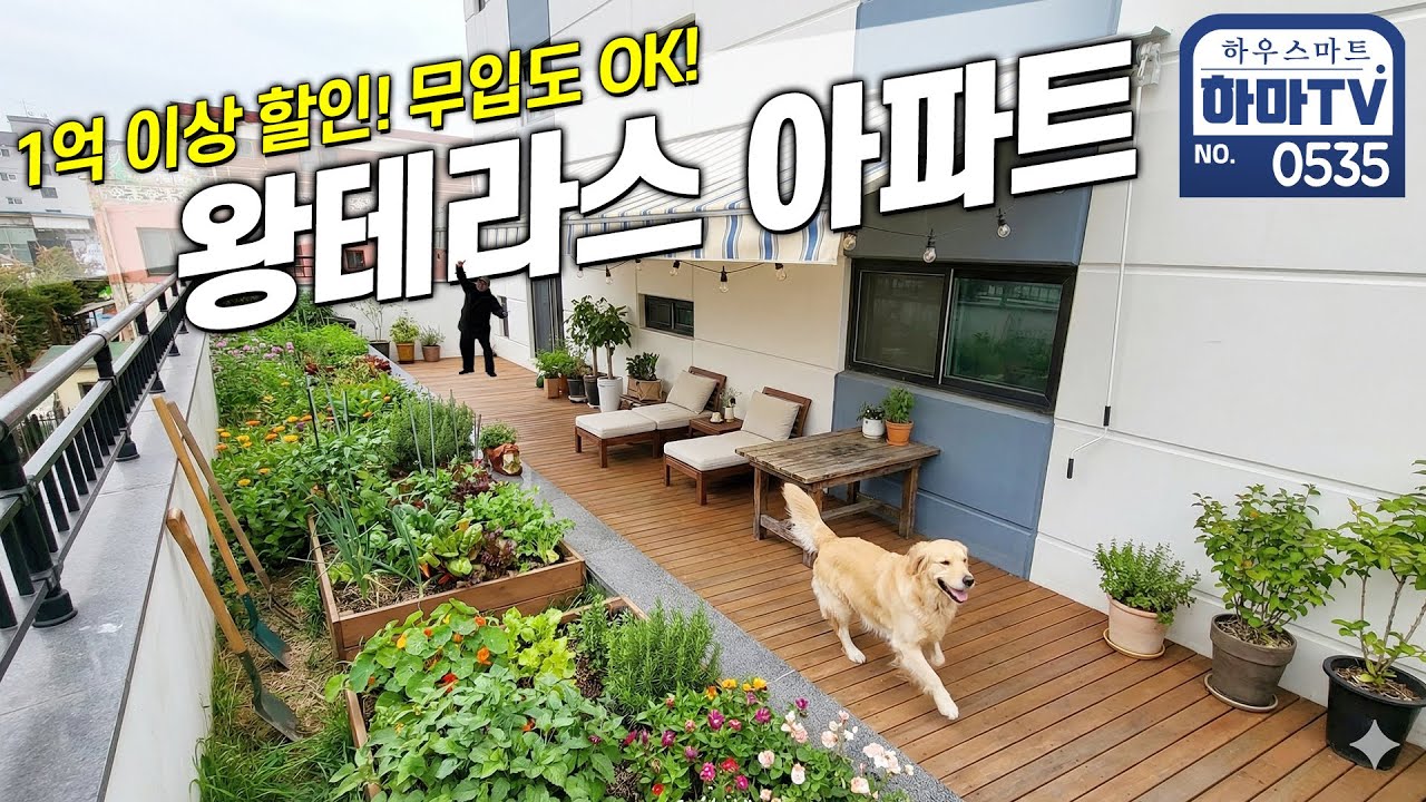 의지만 있으면 왕테라스 아파트가 내 집이 된다 / 0535