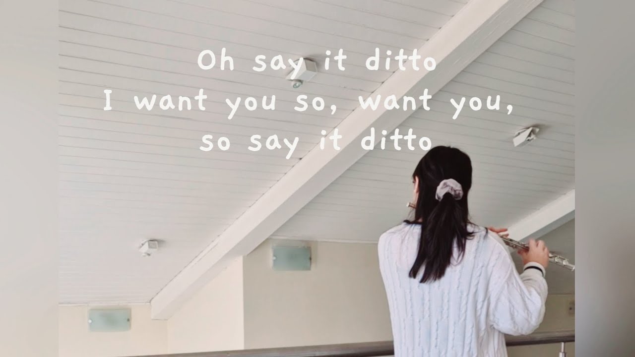 Ditto 플루트 커버🤍