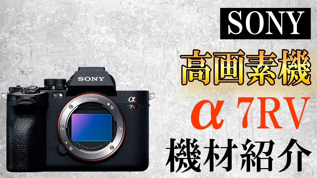 【長期レビュー】SONY高画素カメラ「α7RV」を3年使ってみた