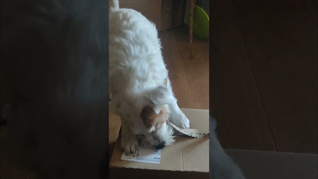 😅 mein Paket 👍😋