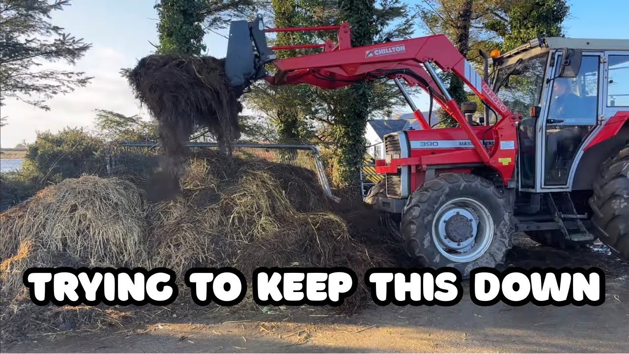 NEW PROJECT = LESS WASTE??